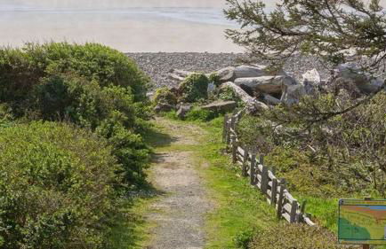 The Castle Rock Estate by Avantstay Steps From Arch Cape Beach w/ Hot Tub & Sauna - Foto 121