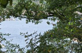 Ferienwohnung Seerandweg - Photo 9