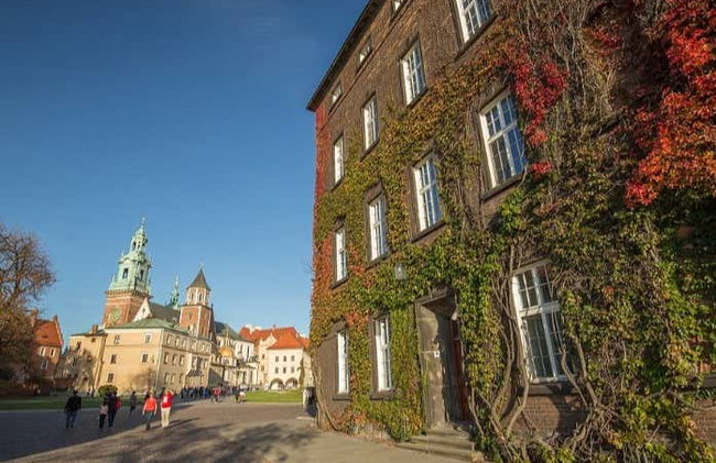 Visite des intérieurs du château et de la cathédrale de Wawel - Photo 4