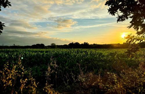 La rêverie - Foto 32