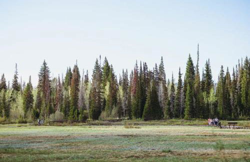 Brighton Ski Resort Hidden Falls 1 Bedroom Chalet Utah - Foto 33