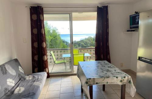 Le Thyreneen - Foto 48