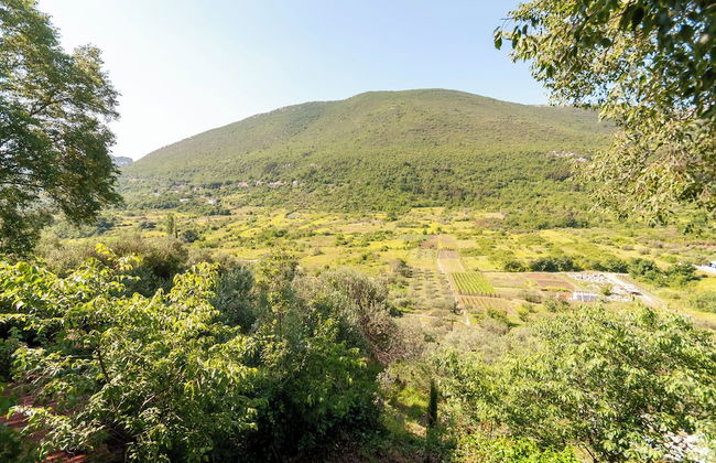 Apartment Feel the Nature - Foto 18