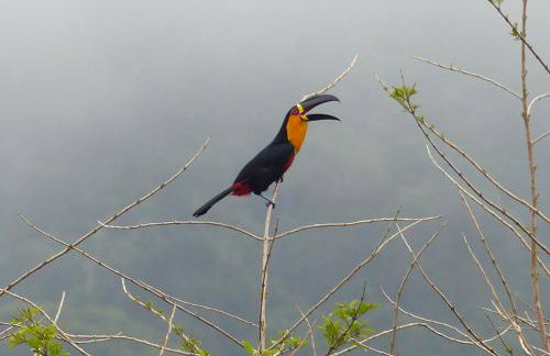 Casa Beija-Flor - Foto 38