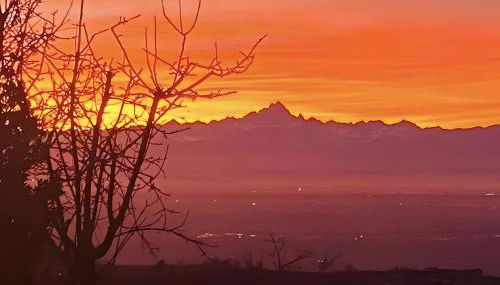 Langhe Wine & Relax - Foto 4