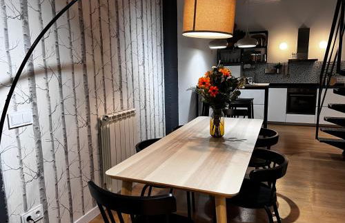 SG Apartamentos, Silió 4B AT 47-79 - Foto 37