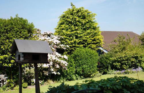 Easy Living - Foto 20