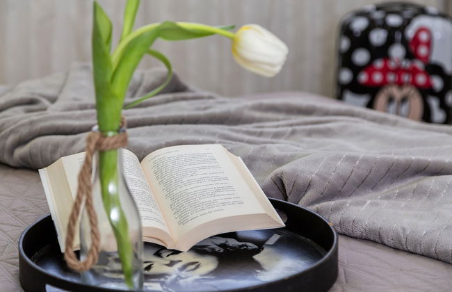 Residence Olivastro Piano Terra - Photo 2