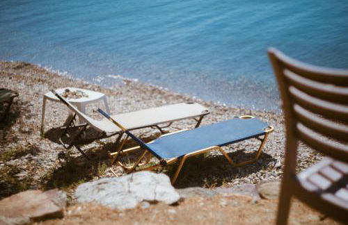 Traditional Architecture Seafront Stone House in 25000sqm Olive Grove - C - Photo 12