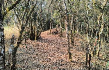 Pousada do Artista - Photo 36