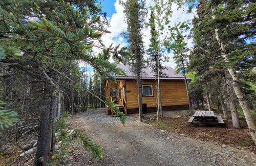 Denali Wild Stay - Redfox Cabin, Free Wifi, private, sleep 6 - Foto 28