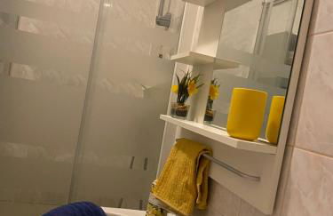 Studio miroir-arrivée autonome-animal ok - Photo 29