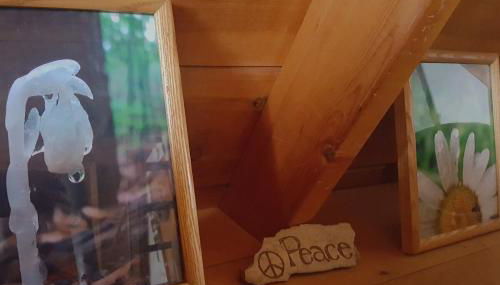 Catskills Aframe, Water View, Goat Sanctuary - Foto 2