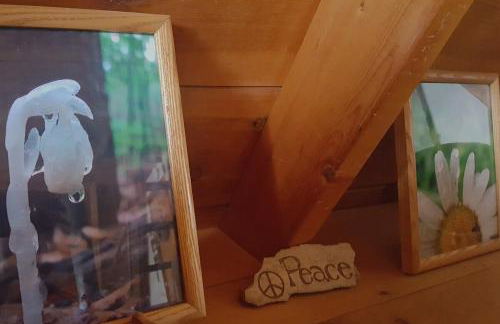 Catskills Aframe, Water View, Goat Sanctuary - Foto 2