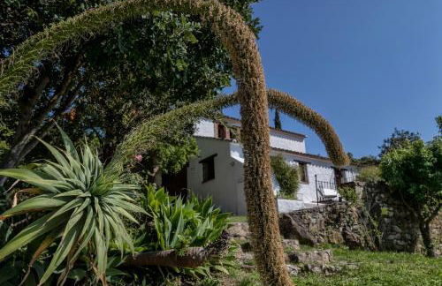 Ventorro del Herrero - The Old Forge - Photo 12