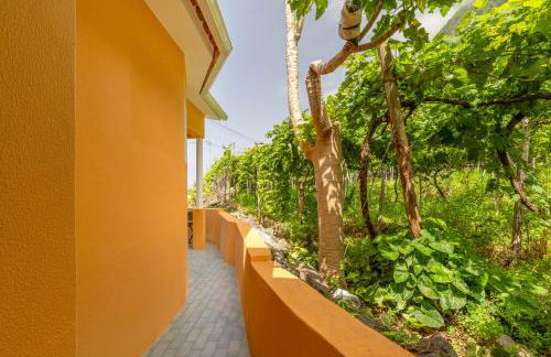 Coastal São Vicente Mountain & Sea View Hideaway with Free Parking - Foto 36