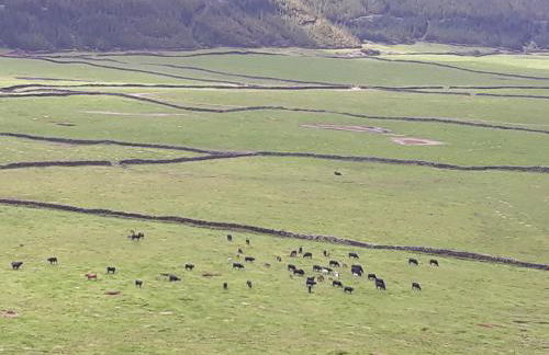 Vivenda Areias - Photo 40