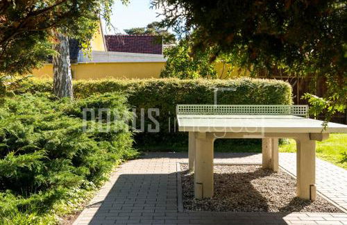 Ferienwohnung 2, Waldesruh Dierhagen - Foto 10