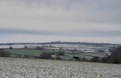 Hillview Haven - Photo 21