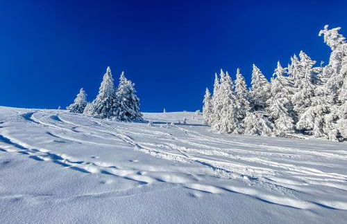 Ferienwohnung "Am Skilift" - Foto 54