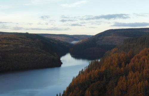 Pwllgwilym B & B - Foto 40