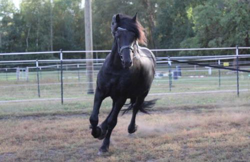 Weidmannsruh - große Ferienwohnung mit 3 Schlafzimmern - Foto 15