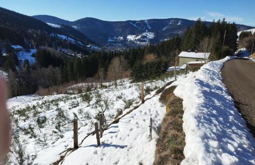 Maison de montagne vue magnifique - Foto 18