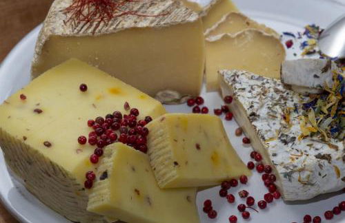 i Cacciagalli Wine Resort - Foto 26