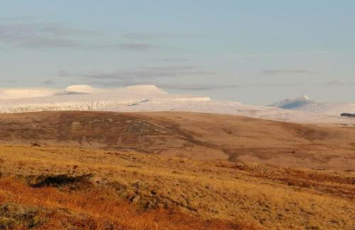 Viaduct View - Cefn Coed - Photo 34