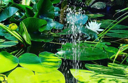 Eleonor Accommodation exclusive house - Foto 24