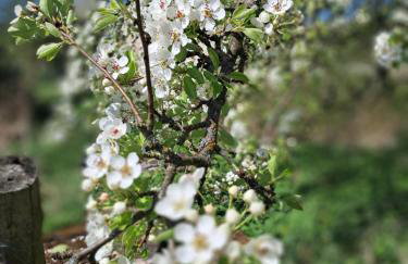 Reset w górach - Foto 33