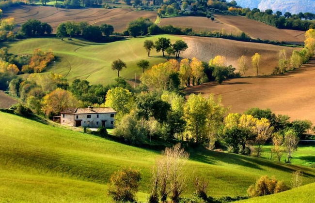 Castello Montegiove - Foto 43