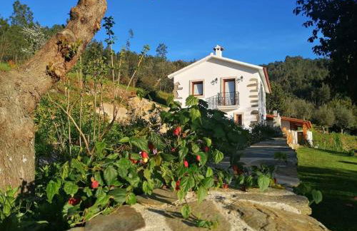 A Casa dos Avós - Alojamento Local - Foto 1