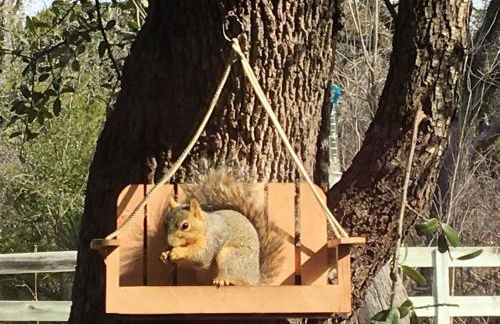 Fishers Of Men Ranch Home - Photo 80