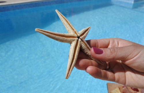 Quintinha do Álvaro - Holiday house - Foto 71