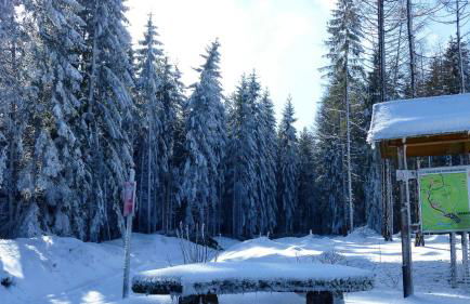 Ferienwohnung Rennsteigblick - Foto 19
