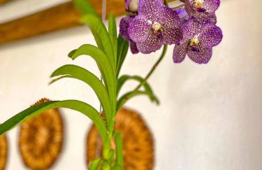 Aldeia Corumbau - Photo 55