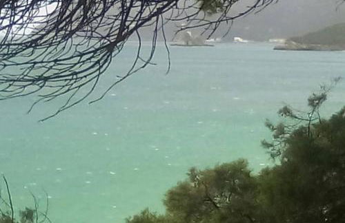 Páteo da Memória Casa do Pintor - Foto 35