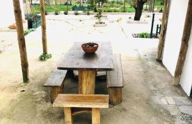 Casa Da Várzea-Casa relaxante com piscina partilhada - Foto 28