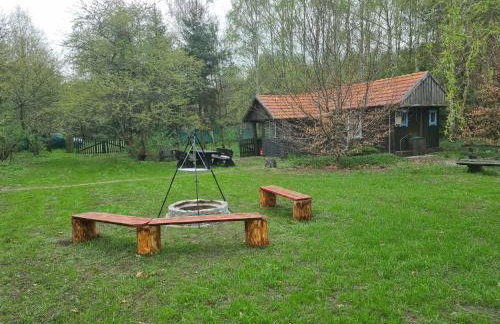 Dom Pod Brzozami Lipinki Bory Tucholskie basen - psy, koty mile widziane! - Photo 1