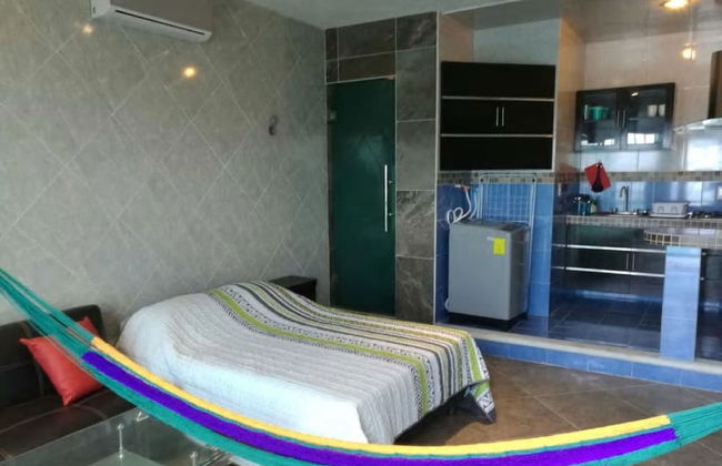 Kaeli's Caribbean Studios - Photo 19