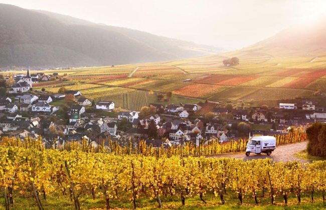 Holiday Winery Andrae-goebel - Foto 10