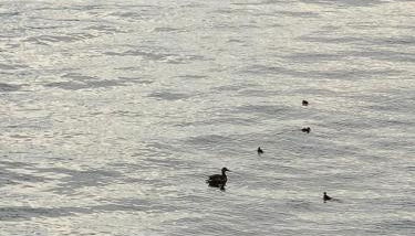 A Casa di Chiara 2 - Foto 4