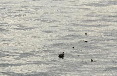 A Casa di Chiara 2 - Foto 4