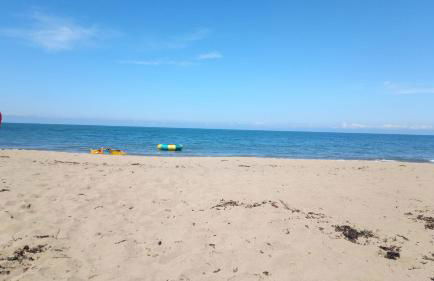 Canad Adar - Song of the Birds - Teifi Valley - Foto 8