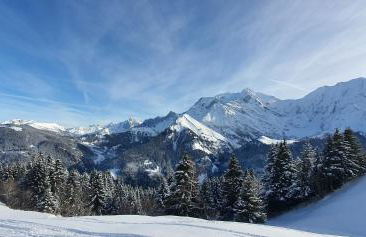 Chalet des Ours - 2 appartements 4 étoiles premium - 5 ou 6 personnes - Photo 48