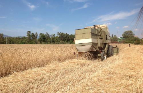 Agriturismo Il Paradiso - Foto 65