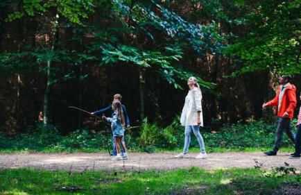 Casita De Cuervo at Shorefield Park - WIFI - Pet Friendly - Passes Included - Photo 28