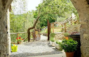 Agriturismo Fattoria didattica Il Macereto - Foto 11