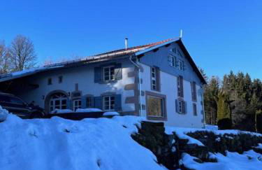 Villa d'exception LA BELLE DES VOSGES 4 étoiles, bain nordique, sauna, billard etc - Foto 1